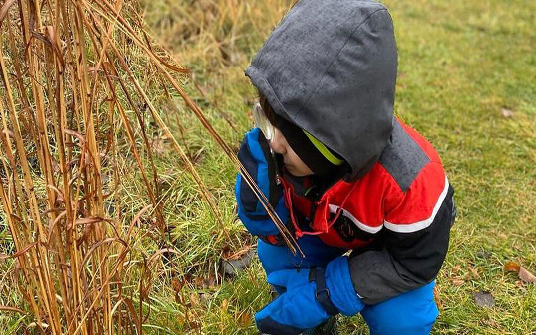 Discovering the Joy of Learning Through Semillitas
